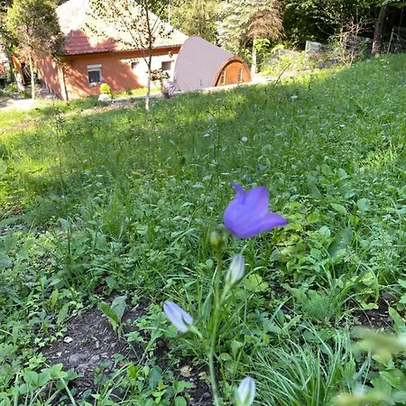Szalamandra Vendeghaz * Verőcemaros